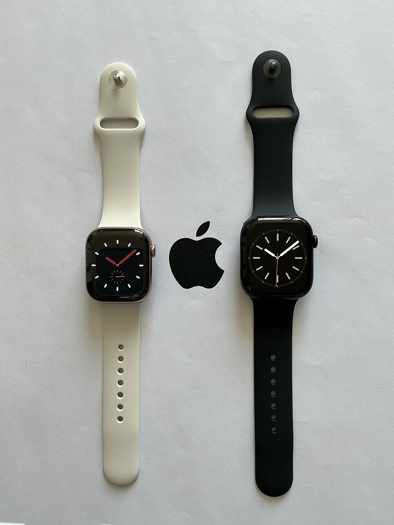 Final Thoughts: Big Value in a Small Price Tag